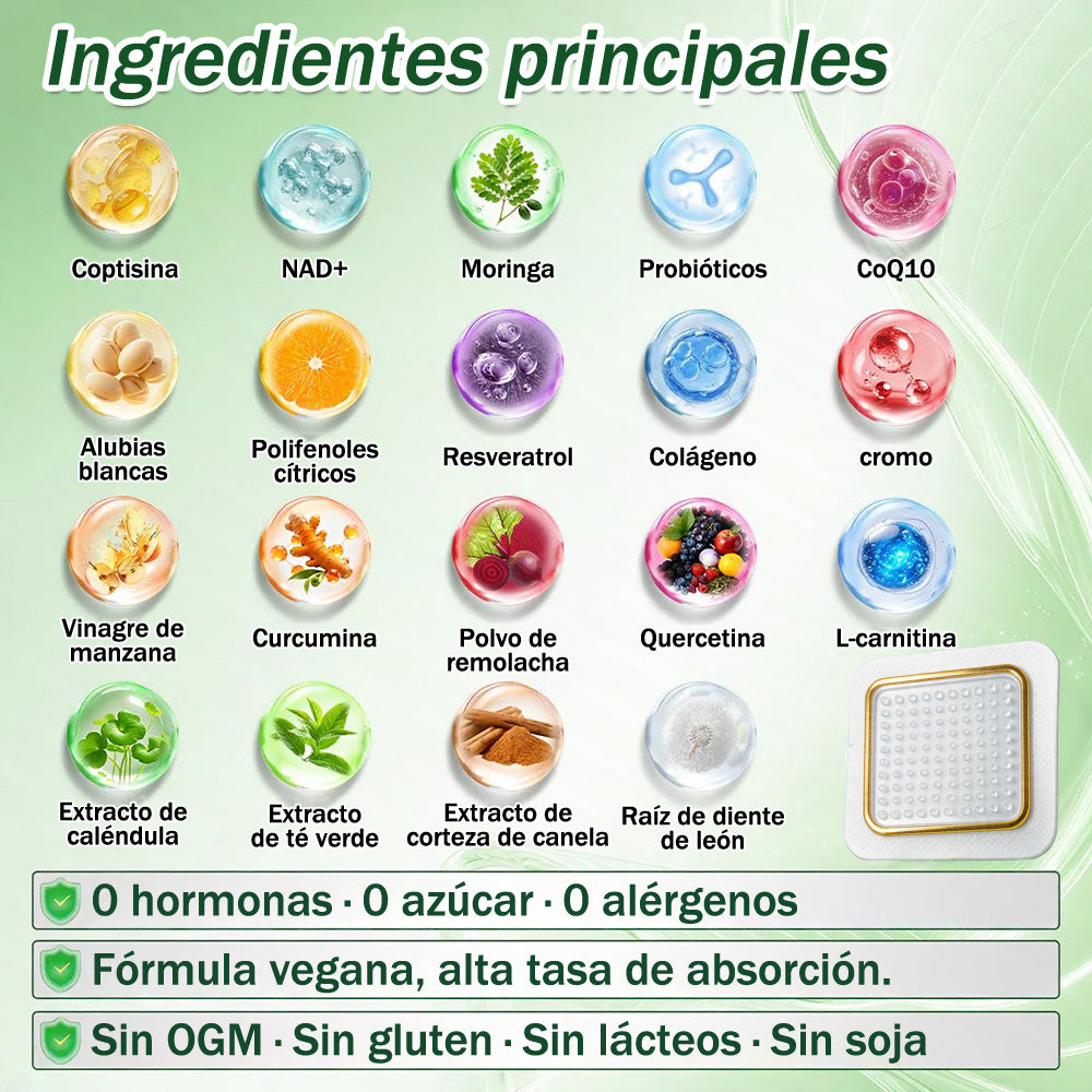 🫐Conforme a la normativa aplicable en España y en la Unión Europea 🎉| GFOUK® Moringa · Berberina × NAD+ Parche Avanzado de Nanomicroagujas 10 en 1 | Respaldado por la ciencia | Fórmula 10 en 1 | Resultados visibles en 7 días ✅