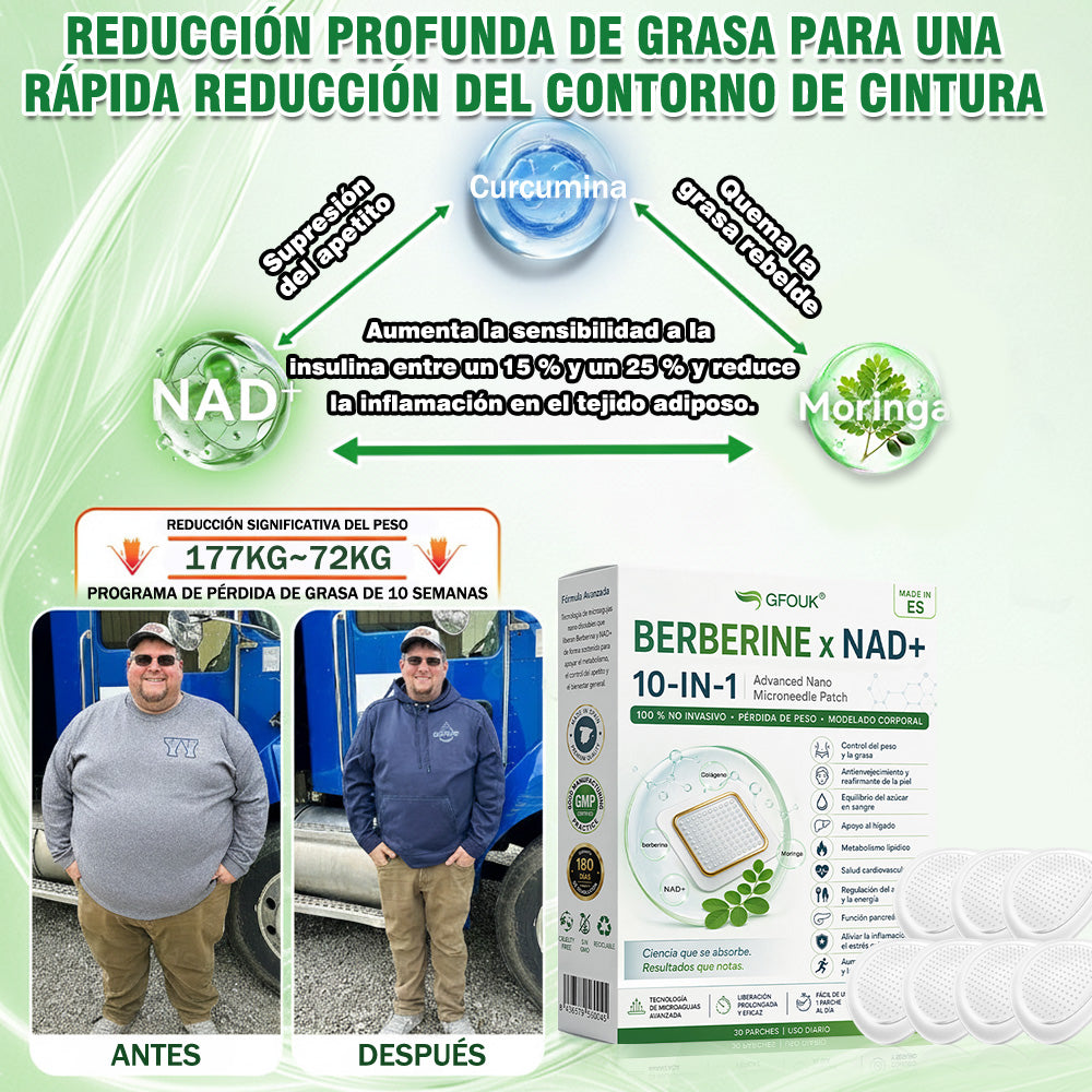 🌶️Conforme a la normativa aplicable en España y en la Unión Europea 🎉| GFOUK® Moringa · Berberina × NAD+ Parche Avanzado de Nanomicroagujas 10 en 1 | Respaldado por la ciencia | Fórmula 10 en 1 | Resultados visibles en 7 días ✅