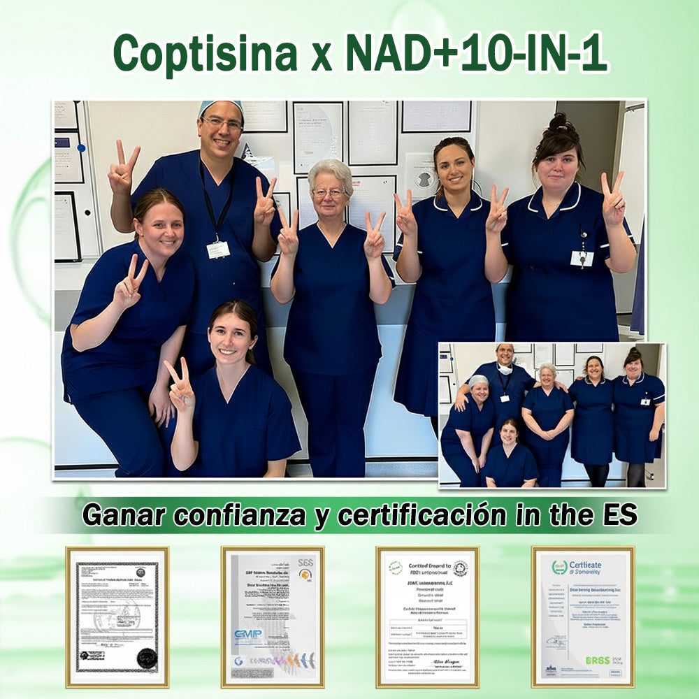 💖Conforme a la normativa aplicable en España y en la Unión Europea |  GFOUK® Moringa · Berberina × NAD+ Parche Avanzado de Nanomicroagujas 10 en 1 |  Respaldado por la ciencia | Fórmula 10 en 1 |  Resultados visibles en 7 días ✅