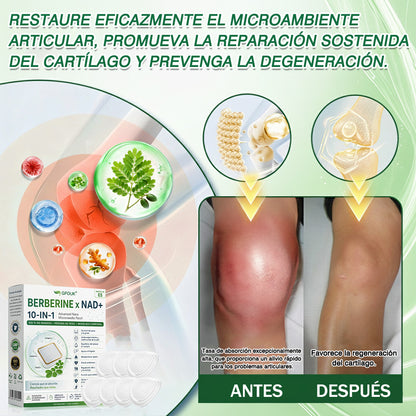 🌶️Conforme a la normativa aplicable en España y en la Unión Europea 🎉|  GFOUK® Moringa · Berberina × NAD+ Parche Avanzado de Nanomicroagujas 10 en 1 |  Respaldado por la ciencia | Fórmula 10 en 1 |  Resultados visibles en 7 días ✅