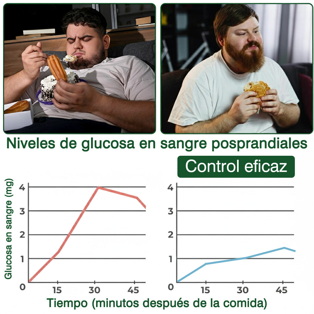 🌶️Conforme a la normativa aplicable en España y en la Unión Europea 🎉|  GFOUK® Moringa · Berberina × NAD+ Parche Avanzado de Nanomicroagujas 10 en 1 |  Respaldado por la ciencia | Fórmula 10 en 1 |  Resultados visibles en 7 días ✅