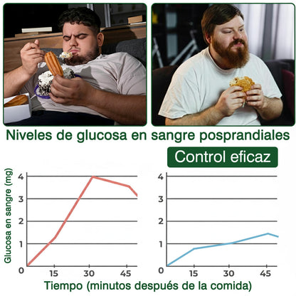 🌶️Conforme a la normativa aplicable en España y en la Unión Europea 🎉|  GFOUK® Moringa · Berberina × NAD+ Parche Avanzado de Nanomicroagujas 10 en 1 |  Respaldado por la ciencia | Fórmula 10 en 1 |  Resultados visibles en 7 días ✅