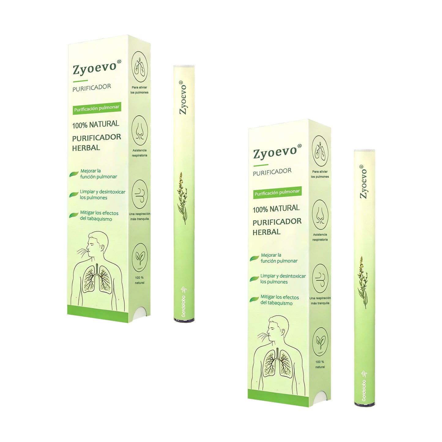 🤍De propiedad y gestión directa ✅ Zyoevo® Mullein Lung Cleanse Diffuser (🫁 tos, faringitis, dificultad para respirar, flema, congestión nasal, bronquitis, síntomas de alergia y molestias pulmonares) 10 🌿