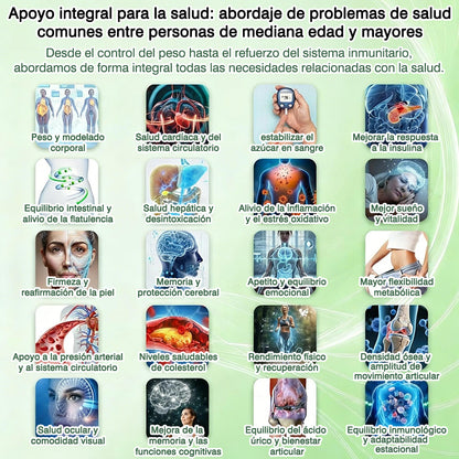 🌶️Conforme a la normativa aplicable en España y en la Unión Europea 🎉|  GFOUK® Moringa · Berberina × NAD+ Parche Avanzado de Nanomicroagujas 10 en 1 |  Respaldado por la ciencia | Fórmula 10 en 1 |  Resultados visibles en 7 días ✅