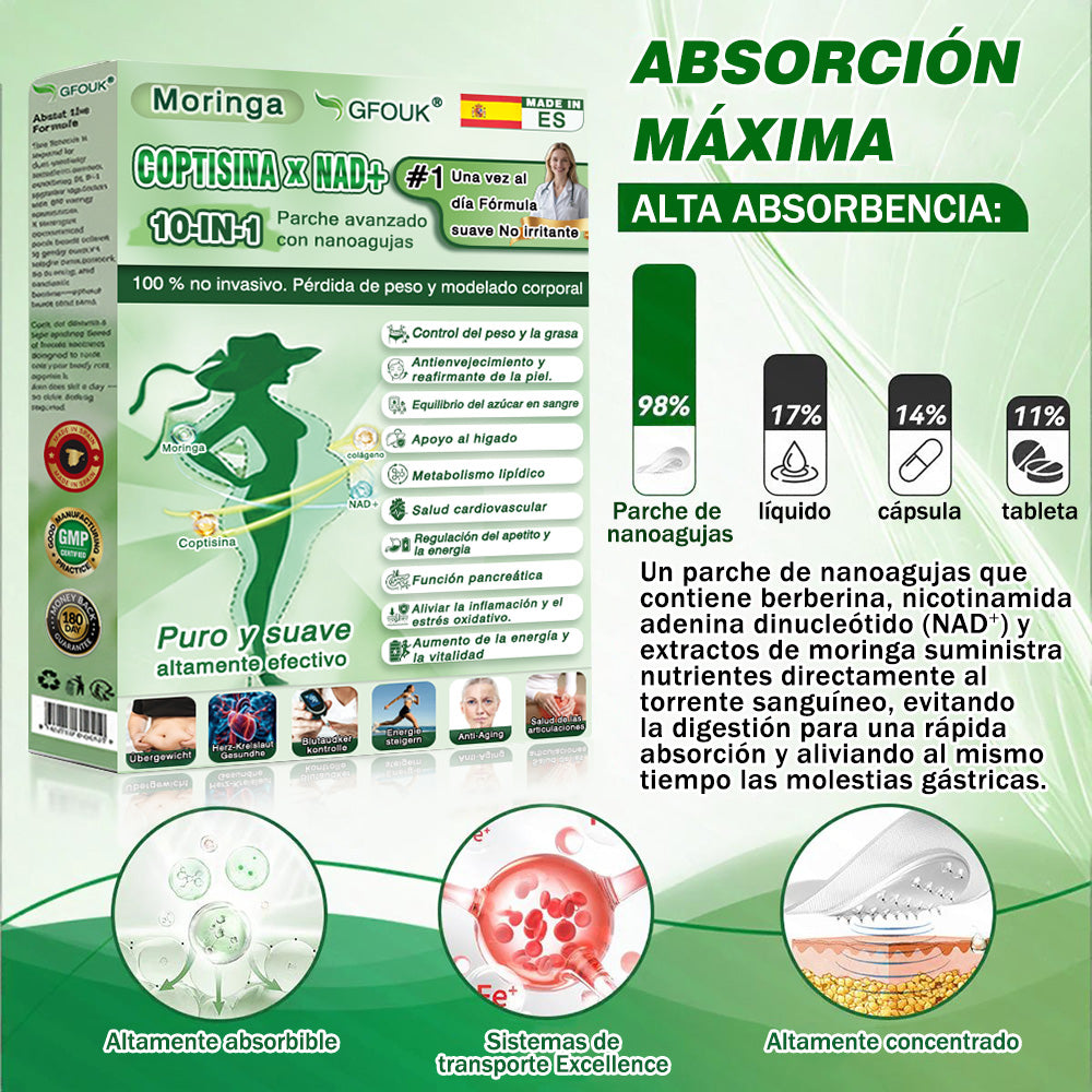 💖Conforme a la normativa aplicable en España y en la Unión Europea |  GFOUK® Moringa · Berberina × NAD+ Parche Avanzado de Nanomicroagujas 10 en 1 |  Respaldado por la ciencia | Fórmula 10 en 1 |  Resultados visibles en 7 días ✅