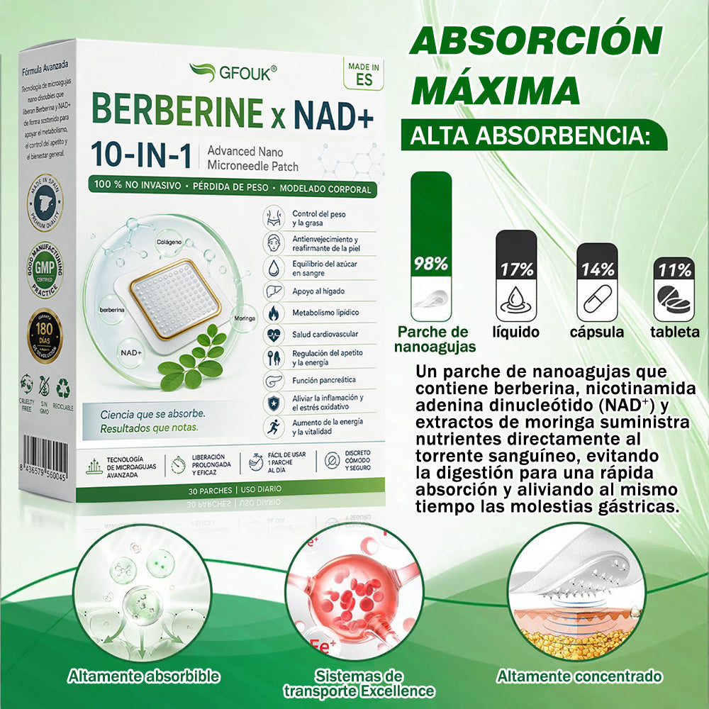 🌶️Conforme a la normativa aplicable en España y en la Unión Europea 🎉|  GFOUK® Moringa · Berberina × NAD+ Parche Avanzado de Nanomicroagujas 10 en 1 |  Respaldado por la ciencia | Fórmula 10 en 1 |  Resultados visibles en 7 días ✅