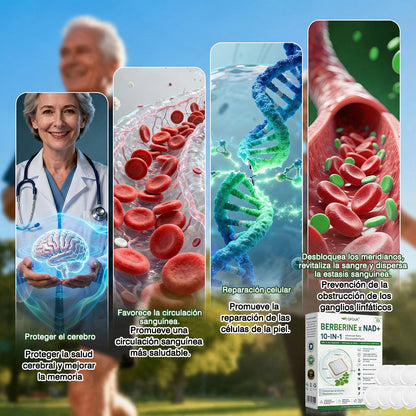 🌶️Conforme a la normativa aplicable en España y en la Unión Europea 🎉|  GFOUK® Moringa · Berberina × NAD+ Parche Avanzado de Nanomicroagujas 10 en 1 |  Respaldado por la ciencia | Fórmula 10 en 1 |  Resultados visibles en 7 días ✅