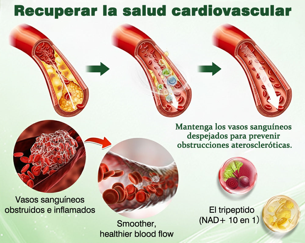 🌶️Conforme a la normativa aplicable en España y en la Unión Europea 🎉|  GFOUK® Moringa · Berberina × NAD+ Parche Avanzado de Nanomicroagujas 10 en 1 |  Respaldado por la ciencia | Fórmula 10 en 1 |  Resultados visibles en 7 días ✅