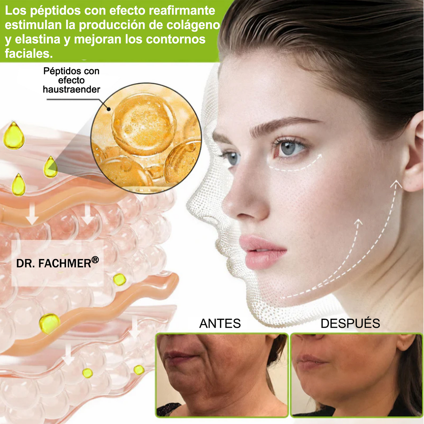 🎁 Dr. Fachmer® 👩‍⚕️ Péptidos y colágeno con efecto tensor inmediato: ayuda a reducir la apariencia de bolsas y líneas de expresión, dejando la piel con un aspecto más firme y terso. ✨