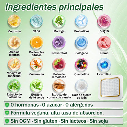 🫐Conforme a la normativa aplicable en España y en la Unión Europea 🎉|  GFOUK® Moringa · Berberina × NAD+ Parche Avanzado de Nanomicroagujas 10 en 1 |  Respaldado por la ciencia | Fórmula 10 en 1 |  Resultados visibles en 7 días ✅