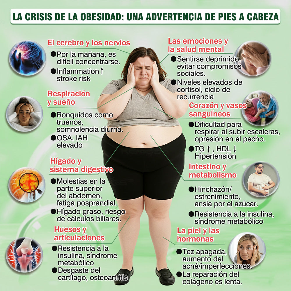 🌶️Conforme a la normativa aplicable en España y en la Unión Europea 🎉|  GFOUK® Moringa · Berberina × NAD+ Parche Avanzado de Nanomicroagujas 10 en 1 |  Respaldado por la ciencia | Fórmula 10 en 1 |  Resultados visibles en 7 días ✅