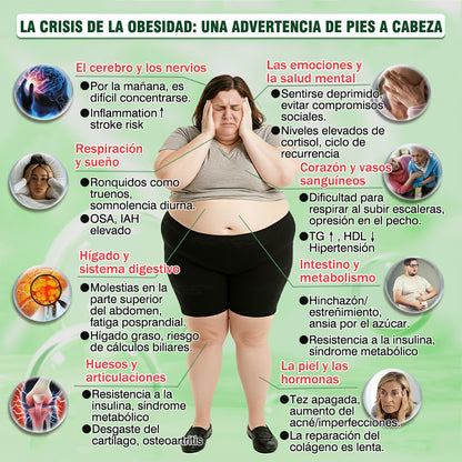 🌶️Conforme a la normativa aplicable en España y en la Unión Europea 🎉|  GFOUK® Moringa · Berberina × NAD+ Parche Avanzado de Nanomicroagujas 10 en 1 |  Respaldado por la ciencia | Fórmula 10 en 1 |  Resultados visibles en 7 días ✅