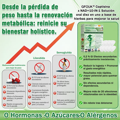💖Conforme a la normativa aplicable en España y en la Unión Europea |  GFOUK® Moringa · Berberina × NAD+ Parche Avanzado de Nanomicroagujas 10 en 1 |  Respaldado por la ciencia | Fórmula 10 en 1 |  Resultados visibles en 7 días ✅