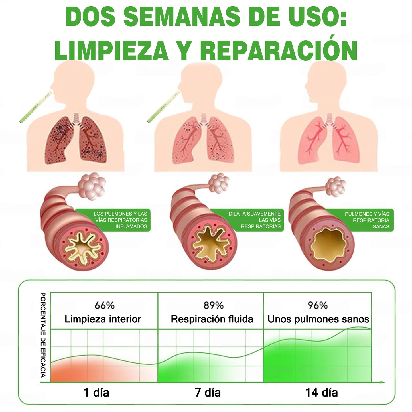 🤍De propiedad y gestión directa ✅ Zyoevo® Mullein Lung Cleanse Diffuser (🫁 tos, faringitis, dificultad para respirar, flema, congestión nasal, bronquitis, síntomas de alergia y molestias pulmonares) 10 🌿