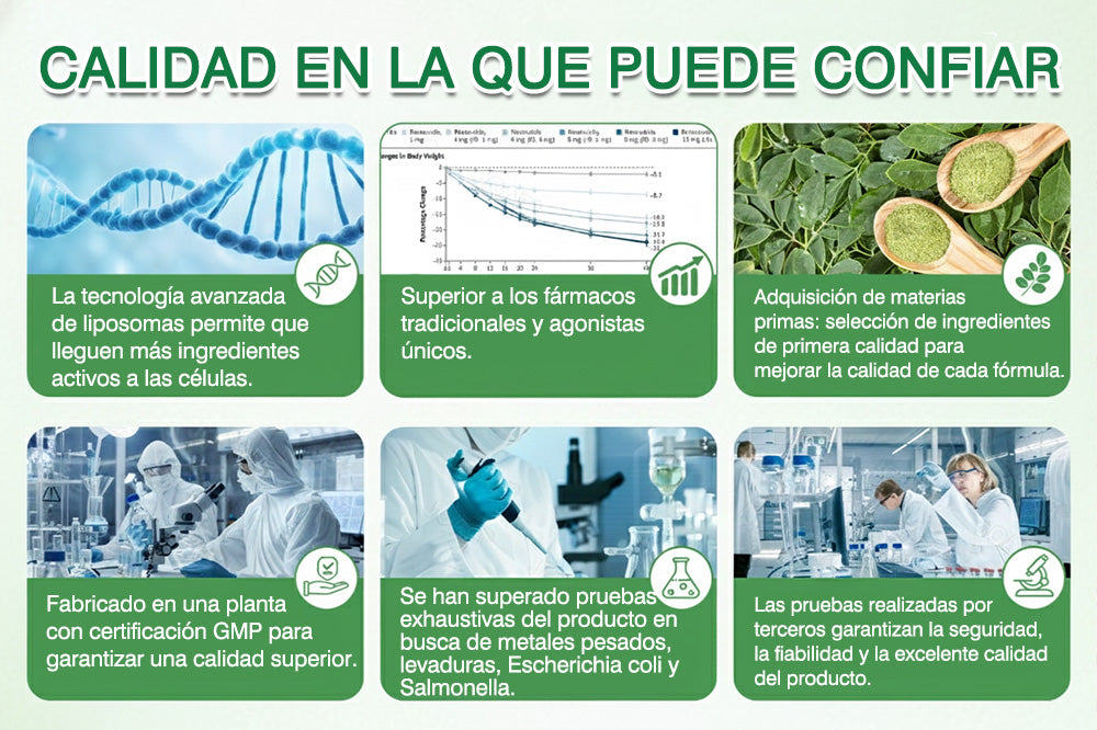 💖Conforme a la normativa aplicable en España y en la Unión Europea |  GFOUK® Moringa · Berberina × NAD+ Parche Avanzado de Nanomicroagujas 10 en 1 |  Respaldado por la ciencia | Fórmula 10 en 1 |  Resultados visibles en 7 días ✅